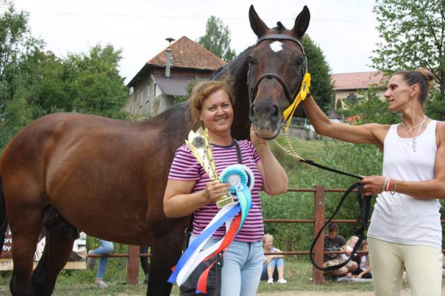 vicesampion_vystavy_s_maj